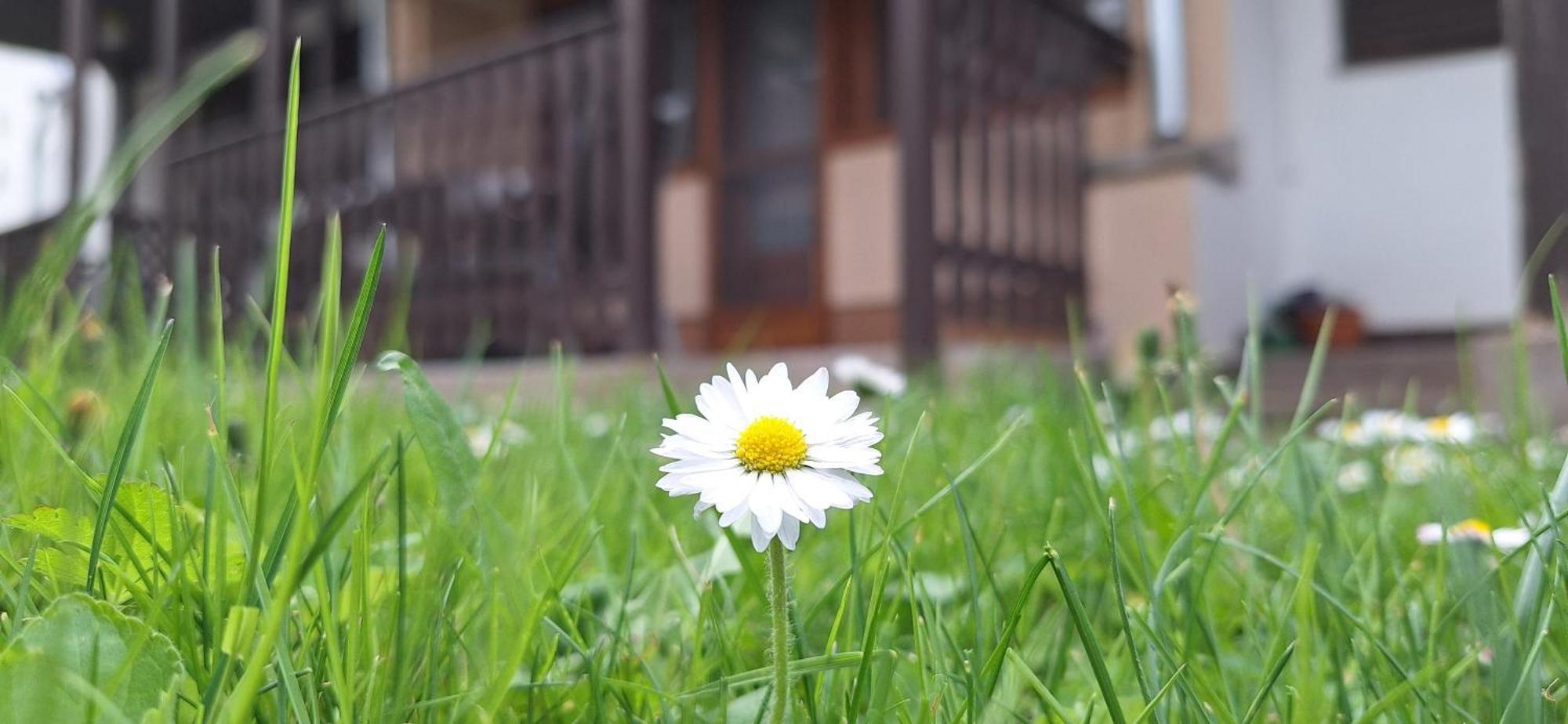 For You Apartman Gyula Exterior foto